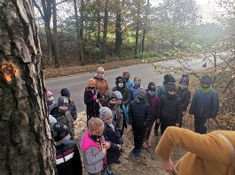 Opieka nad mogiłą